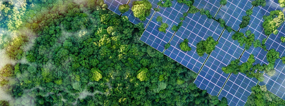 Solar,Panels,Installed,In,The,Green,Forest,,Clean,Alternative,Energy